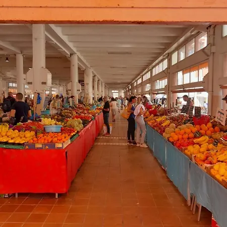 Forville Lägenhet *